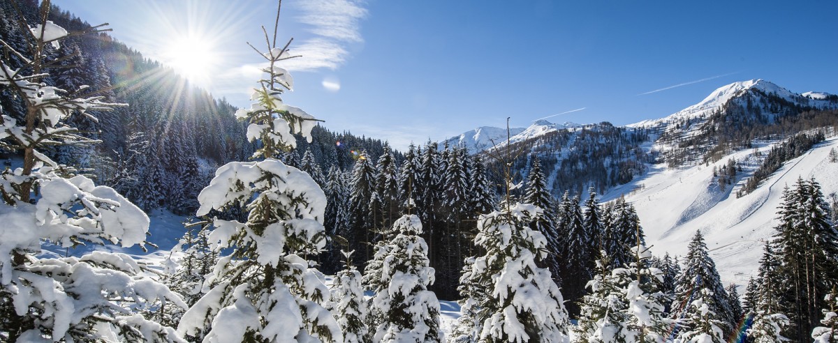 Winterlandschaft in Ski amadé