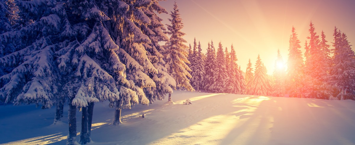 Romantische Stimmung im verschneiten Winterwald während des Sonnenuntergangs